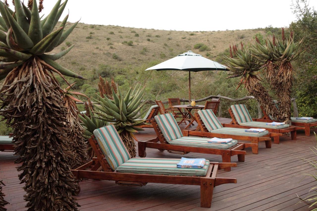 Lalibela Game Reserve Lentaba Safari Lodge Paterson Buitenkant foto